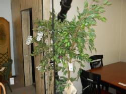 Picture 012